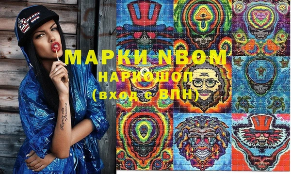 хмурый Ветлуга