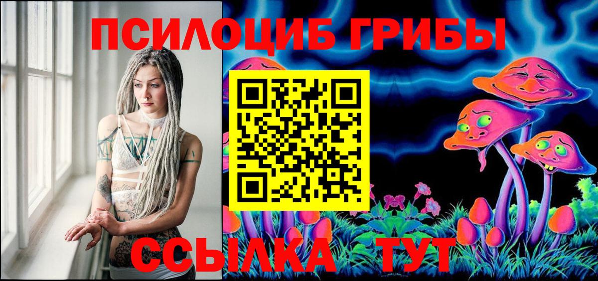 Заринск  Псилоцибиновые грибы прущие грибы  Псилоцибиновые грибы ЛСД  Вход с VPN 