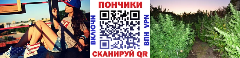Бошки марихуана гибрид  наркота  МЕГА tor  Заринск 